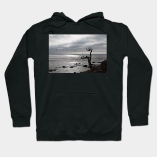 The Ghost Tree Hoodie